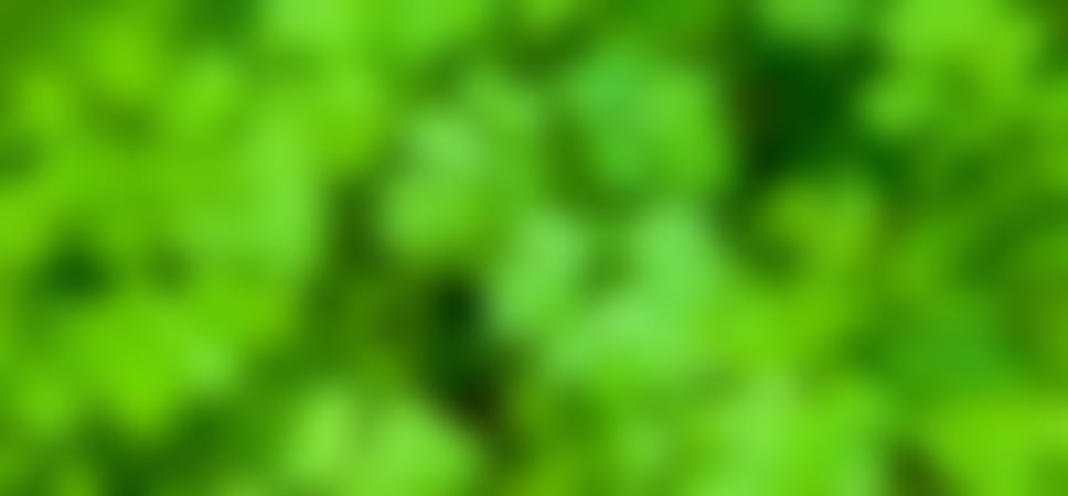 International I Hate Coriander Day (February 24th) Days Of The Year