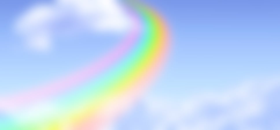 Rainbow Bridge Remembrance Day August 28th Days Of The Year