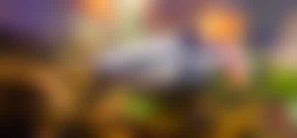 National Catfish Day Days Of The Year (June 25th)