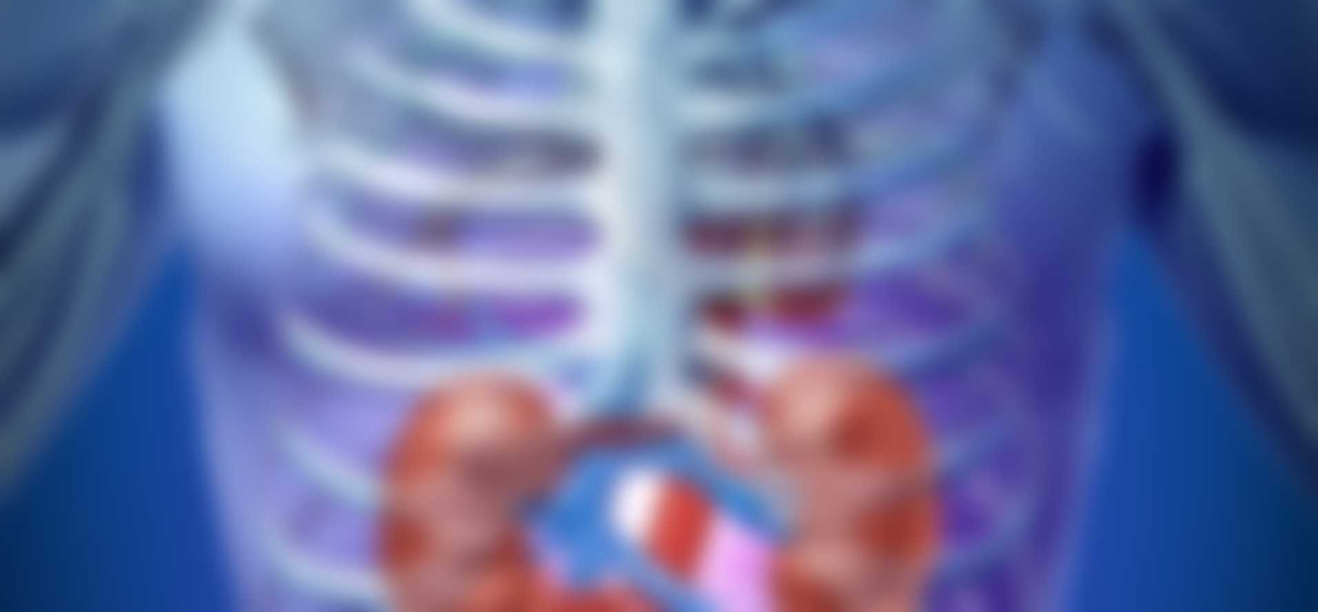 World Kidney Day (March 9th, 2023) Days Of The Year