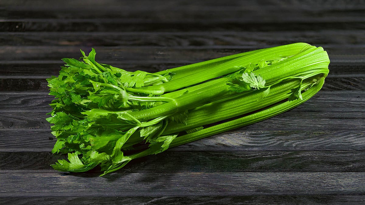 National Fresh Celery Month April 2025 Days Of The Year National Fresh Celery Month E1729377477455