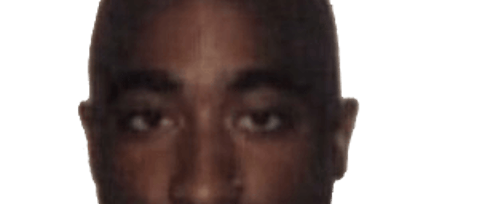 Tupac Shakur visual data 6