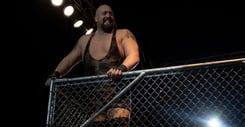paul wight