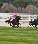 adelaide cup day