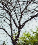 april's showers day