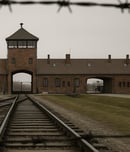 Auschwitz Liberation Day