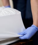 national bed bug prevention day