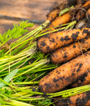 British Carrot Awareness Day