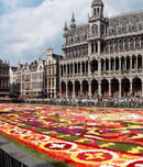 brussels flower carpet