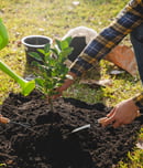 canadian environment week