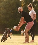 canine fitness month