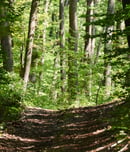 celebrate trails day