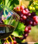 Beaujolais Nouveau Day