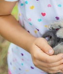 cuddly kitten day