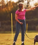 dog training education month
