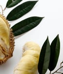 durian fruit day
