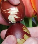 egg cracking competition