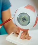 eye donor awareness month