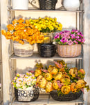 flower and patio show