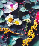 flower day