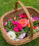 free flower basket day