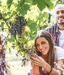grape harvest festival