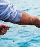 International Day For The Fight Against Illegal Unreported And Unregulated Fishing