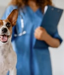 Pet Cancer Awareness Month
