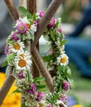 haybuis armenian herb festival