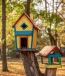 homes for birds week