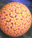 hpv awareness day