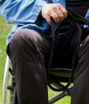 international assistance dog week