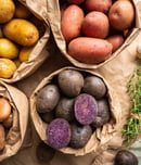 international day of the potato