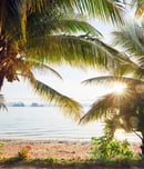 international day of the tropics