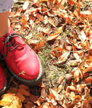 international red shoe day