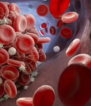 international thalassaemia day
