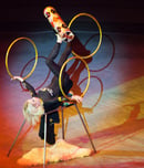 World Circus Day