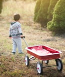 little red wagon day