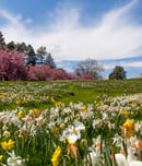march equinox