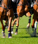 melbourne cup day