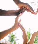 Multiethnic hands making a heart shape outside in nature.
