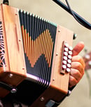 national accordion awareness month