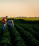 national agriculture day