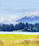 national alaska day