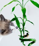 national animal poison prevention week