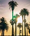 national california day