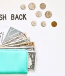 national cash back day