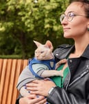 national cat lovers month