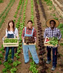 national farm city week