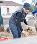 national farm rescuer day